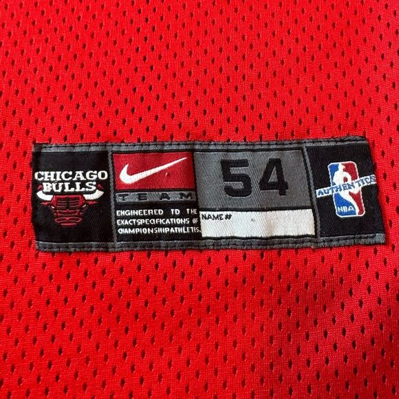 Vintage Nike SCOTTIE PIPPEN #33 Chicago Bulls Jersey - Picture 3 of 16